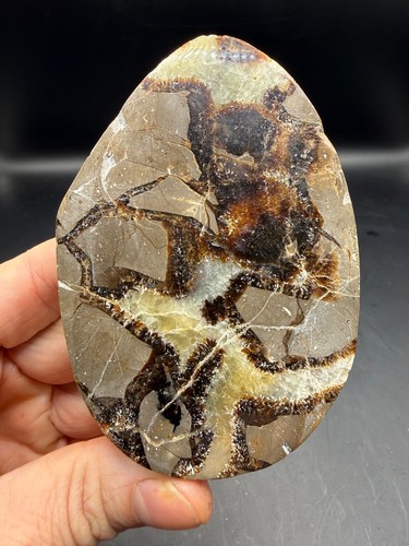 Polished septarian slab - polished,